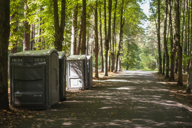 Best Portable bathroom rental  in Buena, NJ
